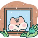 법인유자골고흥한우 이미지