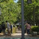 부광고등학교 이미지