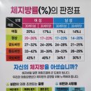 스마일점핑 - 포항시 남구 유강길10번길 34 | 대전동구점핑/스마일점핑 내돈내산 3개월 후기♡