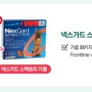 대신 약국 이미지