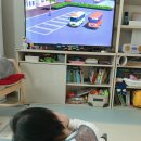 멍멍타요 이미지