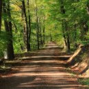 서울숲 생태숲 화장실 이미지