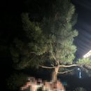 귀하도다 이미지