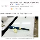 서울시 학폭위, "숭의초 재벌손자, 학교폭력 가해자 아냐" 이미지