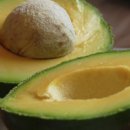 에스에스푸드(SS푸드) 이미지