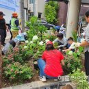 제주마을 이미지