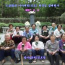 나야 카카오 검색결과