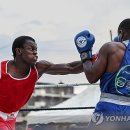 STAY Boxing 이미지