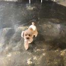 붕가붕가샵 이미지