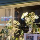 줄리엣 | 늦은 퇴근에도 안심, 방배동꽃집 라줄리엣 꽃다발 후기