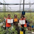 온양5동 남부로 이미지