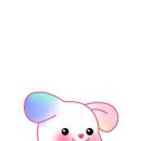 피피브레드 이미지