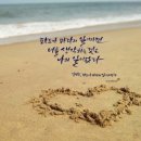 바다가 좋아 이미지