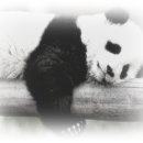 (주)건축사사무소 두드림 이미지