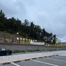 불독쉴드 | [대구 달서구] 중·소형견부터 대형견까지 신나게 뛰어놀 수 있는 달서반려견놀이터🦮