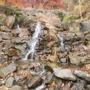 놀러와 이야기 숲으로 | 기대가 너무 컸던 곤지암 화담숲 단풍 후기 비추천 솔직 리뷰