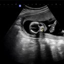 마리여성의원 이미지