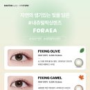 이편한안경콘택트 이미지