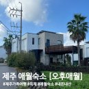 오후애월 | 애월 숙소 [오후애월] / 제주도 가족여행 숙소 후기, 독채, 오션뷰 솔직후기