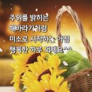 포복 졸도 이미지