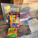 지에스25 일영유원지점 이미지