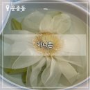 분당-276 | [운중동 카페] 차 너른 :: 운중저수지 근처 책 읽기 좋은 조용한 카페