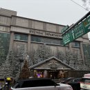 현대수입백화점 | 연말 분위기 느끼기 좋은 압구정 현대백화점 크리스마스 후기 1탄