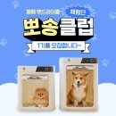 뽀송펫 | 펫드라이룸 체험단 " 뽀송클럽 1기 모집 "