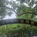 The Best 명품 무인텔 | 대구 서구 중리동 그린웨이 장미원 : 도심 속 장미의 향연!