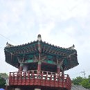 지리산로시난테하우스 | 애견동반 가능한 구례펜션 '지리산 로시난테하우스' 피아골&화개장터&동정호
