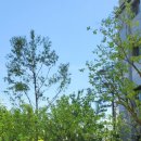 중앙동125 이미지