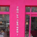 핑크고래 이미지