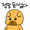 라싸니하오 이미지