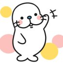 르디투어 고척 이미지