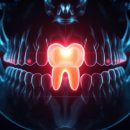 가이드치과병원 | 사랑니 발치 통증 후기 및 대학병원 vs 동네치과 비용 비교 2026년 기준 현실적인 차이점 분석