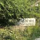 포시즌커피 - 남동구 구월남로85번길 12-13 | 고양 포시즌어데이 솔직후기, 커피만 사도 무료 주차 가능한 경기도 계곡 카페 정착 완료 내돈내산후기
