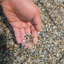 우석헌자연사박물관 | 경기도여행 가볼만한곳 남양주 우석헌자연사박물관 방문 여행 관람 힐링 체험후기 2탄