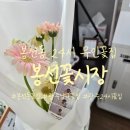 봉선시장 | 봉선동 24시 꽃집, 봉선꽃시장 방문후기