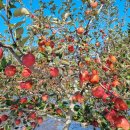 유진농산 이미지