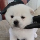 문곡보건진료소 이미지