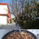 생영초등학교 이미지