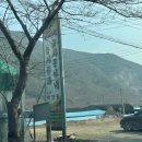 음지리농장 네이버블로그