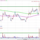 태성아이앤씨 이미지