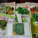 조은농장 이미지