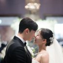JW메리어트 동대문 서울 본식스냅 김태우포토 계약 후기 (세인트지지오티, 비아잔떼 등 비교)