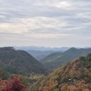 자연휴양림 입구 | 가을엔 역시 숲캉스 _ 속리산 말티재 자연휴양림 휴양관 수정봉 후기
