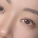 보네르 브로우