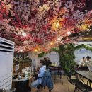 명불허전하하주 이미지