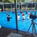 꿈꾸는시계펜션 | 논산수영장펜션 [ 꿈꾸는시계펜션]에서 시원하게 여행했어요.