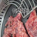 잉꼬가든 이미지